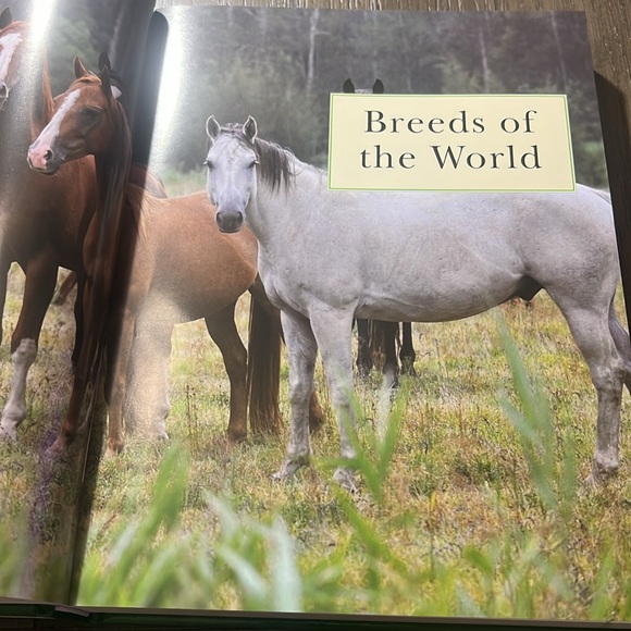 The complete book of horses, hardback (521 pages) - Picture 13 of 15